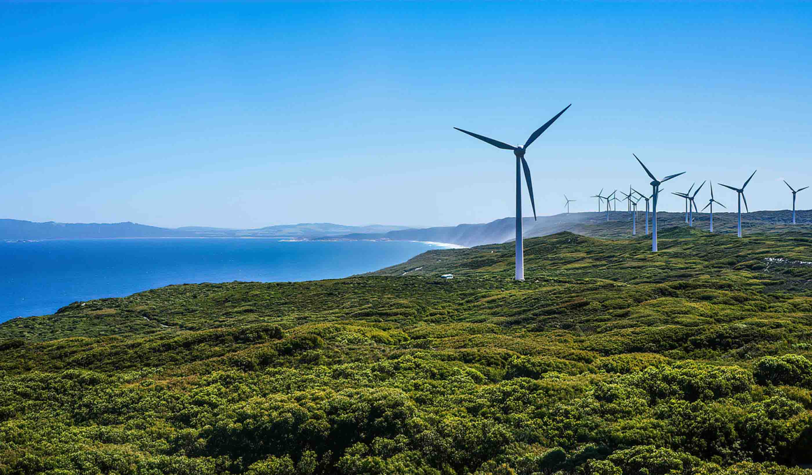 View of wind turbines along the coast.